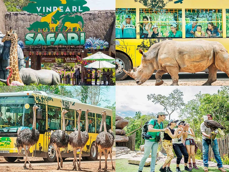 A photographic collage of Vinpearl Safari experiences, including animal encounters and tour buses, on a Phu Quoc 7-day itinerary near Corona Resort & Casino Phu Quoc