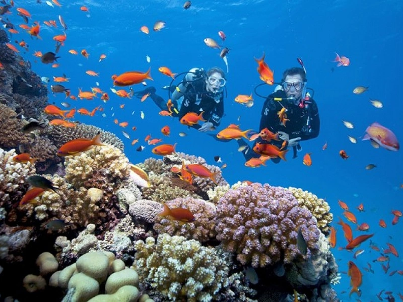 Two scuba divers exploring a vibrant coral reef in Phu Quoc near Corona Resort & Casino Phu Quoc