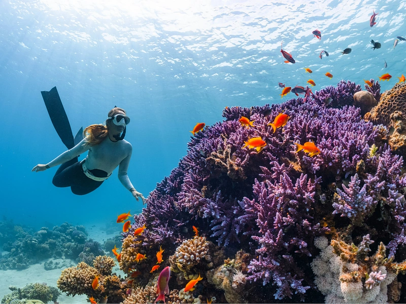 A woman freediving in clear water next to a coral reef in Phu Quoc near Corona Resort & Casino Phu Quoc