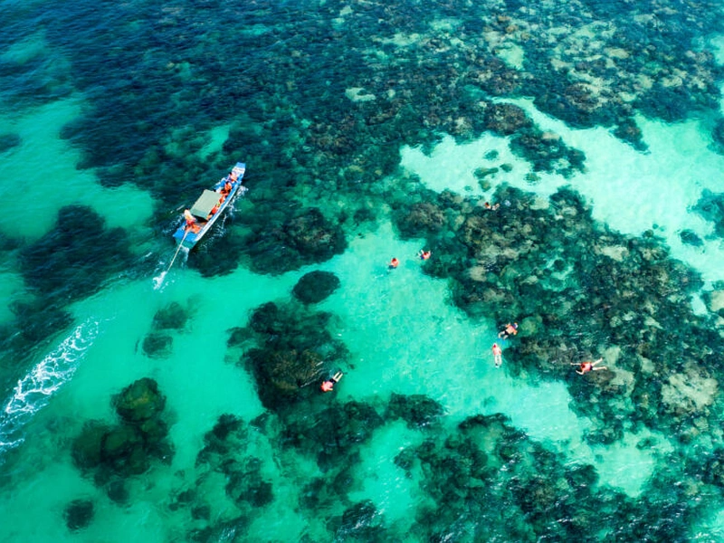 Aerial view of tourists snorkeling over a coral reef in Phu Quoc recommended by Corona Resort & Casino Phu Quoc