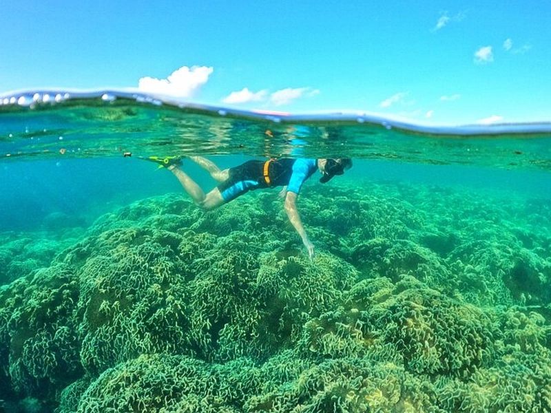 A snorkeler swimming over a large coral garden in Phu Quoc near Corona Resort & Casino Phu Quoc