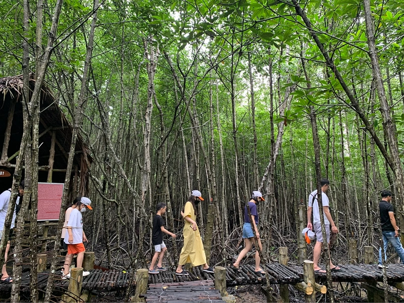 Tourists exploring a mangrove forest walkway in the northern region of Phu Quoc