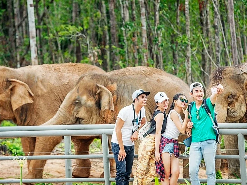 Tourists taking a photo near the elephant sanctuary enclosure in Phu Quoc