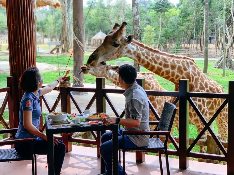 Hình ảnh minh họa Bảng Giá Vé Người Lớn, Trẻ Em Và Combo Ưu Đãi - Corona Resort & Casino Phú Quốc