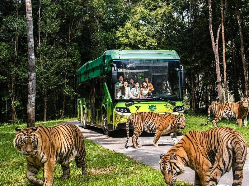 Mô hình xe bus nhốt người thả thú tại Vinpearl Safari Phú Quốc - Corona Resort & Casino Phú Quốc