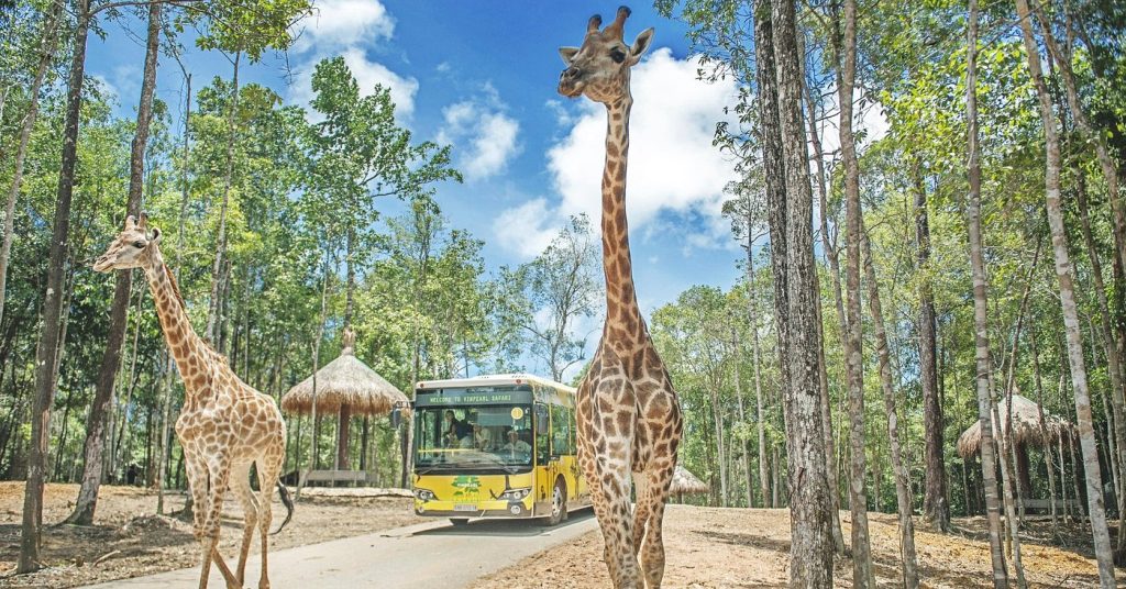 Không gian và dịch vụ Show Diễn Động Vật Và Tương Tác Cho Thú Ăn được nhiều du khách yêu thích