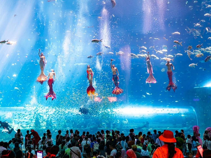Các loại tour Phú Quốc trọn gói phổ biến hiện nay - Corona Resort & Casino Phú Quốc