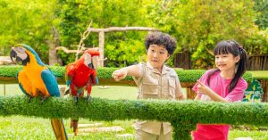 Lịch Trình Phú Quốc 4 Ngày 3 Đêm: Gợi Ý Chi Tiết Từng Ngày